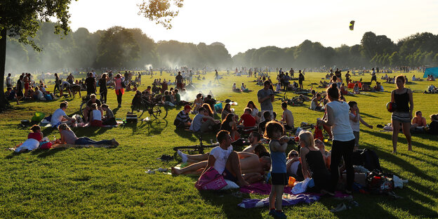 Menschen im Sommer 2016 auf einer Wiese im Hamburger Stadtpark