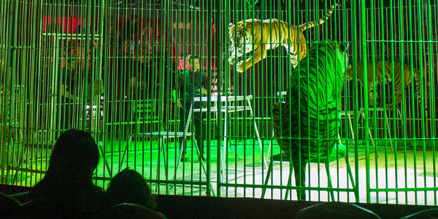 Tiger in einem französichen Zirkus hinter Gittern