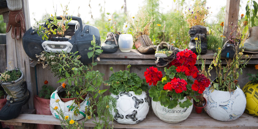 Blumen in einem Gemeinschaftsgarten sprießen aus aufgeschnittenen Fußbällen. Auch ein kleiner Ghettoblaster dient als Blumentopf