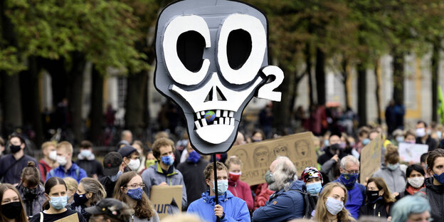 Ein Aktivist der Klimaschutzbewegung Fridays for Future hält einen Totenkopf hoch.