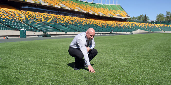 Kevin Koby, Chef des Commonwealth Stadium in Edmonton, streichelt den Kunstrasen in einem leeren Stadion