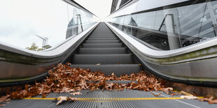 Rolltreppe mit Herbstlaub.