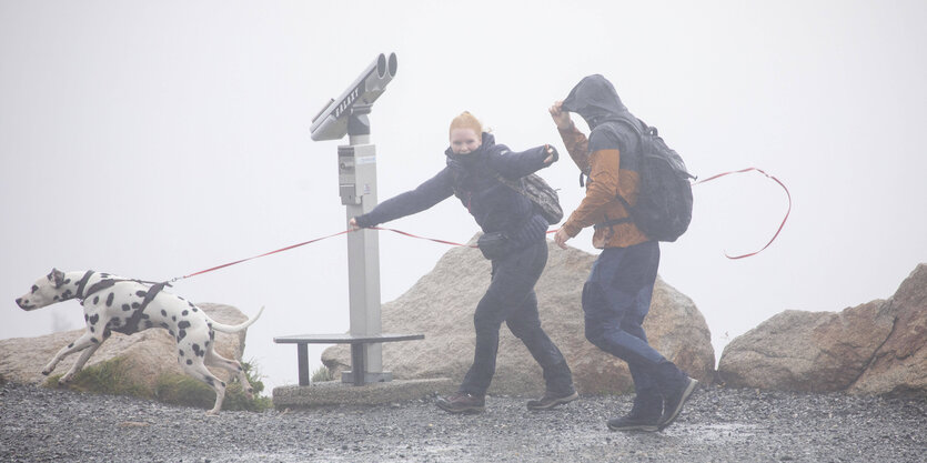 Zwei Personen mit Hund im Nebel.