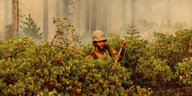 Feuerwehrmann kämpft sich durch den brennenden Wald vom Plumas National Forest in Kalifornien