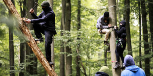 Waldbesetzer im Dannenröder Forst