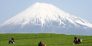 Berg Fuji