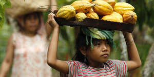 Ein Mädchen trägt einen Korb mit Kakaoschoten in einer Plantage in Luwu, Indonesien