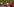 Simone Laudehr und Ingrid Schjelderup