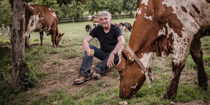 Martin Haeusling sitzt zwischen Milchkühen