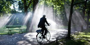 Mann fährt auf Fahrrad durch den Tiergarten