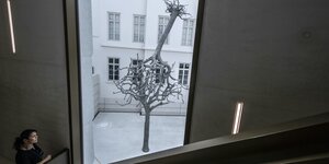Blick aus dem Treppenhaus des Neuen Jüdischen Museums in Frankfurt. Im Hof die Skulptur, die aus zwei in den Kronen miteinander verwachsene Bäume zeigt.