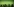 Viele Menschen bewegen sich dynamisch vor einem grünen Hintergrund.
