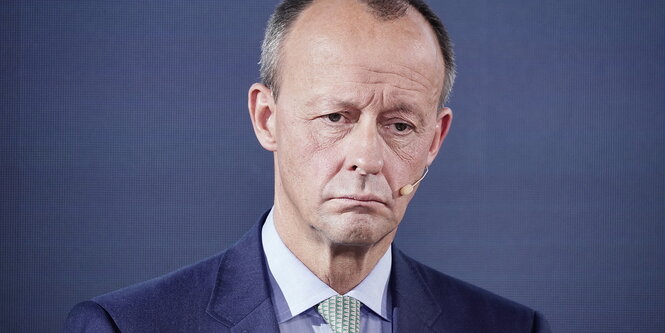 Portrait con Friedrich Merz