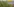 Gras im Vordergrund verdeckt ein DHL-Paketzentrum