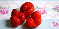 Drei knubbelige Erdbeeren liegen auf einem Tischtuch