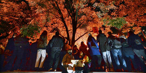 Demonstrierende unter Herbstbaum