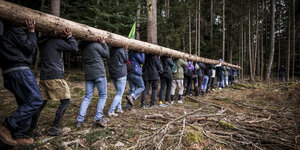 Mehrere Klimaaktivistinnen und Aktivisten Tragen einen langen Baumstamm durch den Dannenröder Wald