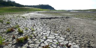 ausgetrockneter See mit wenigen neu sprießenden Grasbüscheln