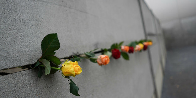Rosen stecken in einem Rest der Hinterlandmauer in Berlin in Erinnerung an den Mauerfall vor 31 Jahren