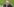 Karl-Heinz Rummenigge hinter einem Mikrofon des Bezahlsenders Sky
