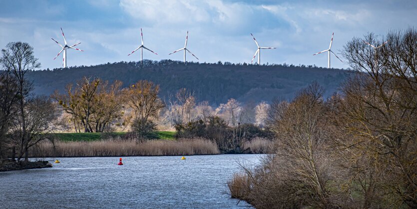 blick auf mäandernden Fluss, am Rand Bäume, hinten Windräder