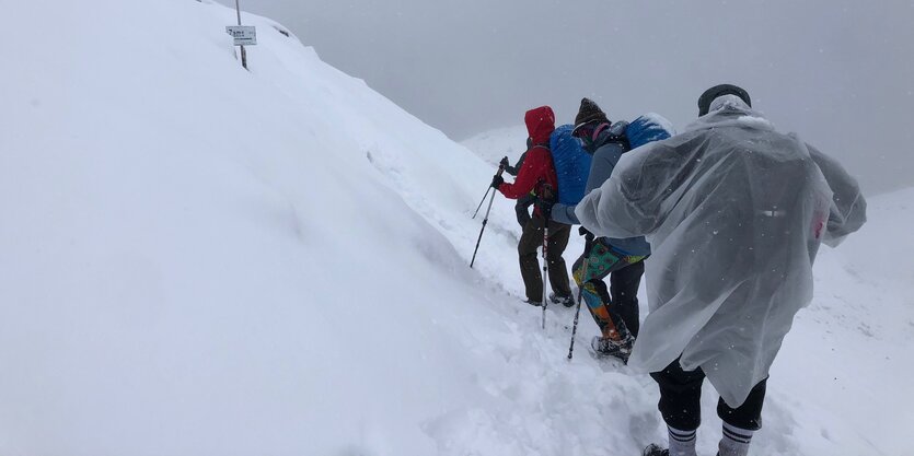 Wandergruppe im Schnee