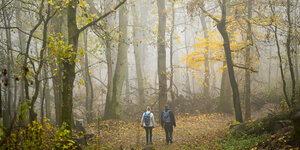 Zwei Menschen gehen in einem herbstlichen Wald spazieren