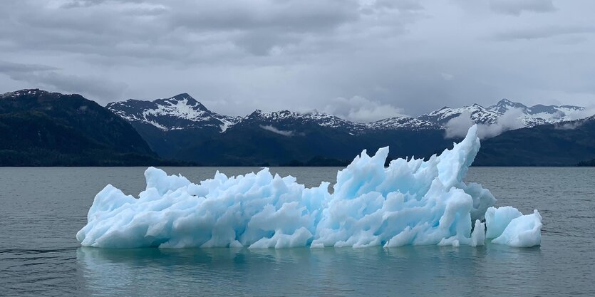 Ein Eisbrocken im Meer