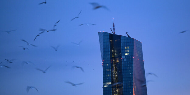 Möwen fliegen am frühen Morgen vor der "Europäischen Zentralbank (EZB)"