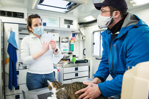 Tierärztin behandelt eine Katze in ihrer mobilen Praxis Tierärztin behandelt eine Katze in ihrer mobilen Praxis
