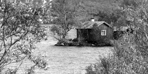 Ein Holzhaus direkt an einem See im Wald