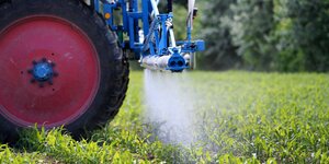 Traktor spritzt Pestizide auf einem Feld