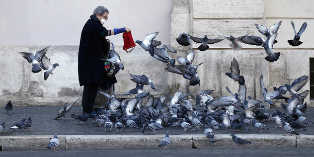 eine ältere Frau füttert Tauben