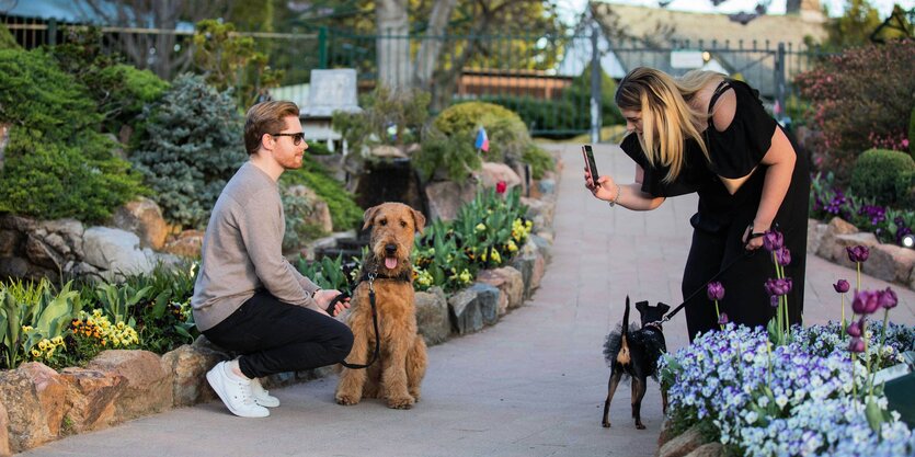 Eine Frau fotografiert einen Mann mit Hund im Park