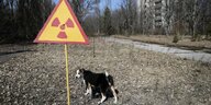 Ein Hund steht neben einem Schild "Radioaktivität"