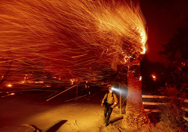 Ein Feuerwehrmann passiert eine brennende Palme in Kalifornien