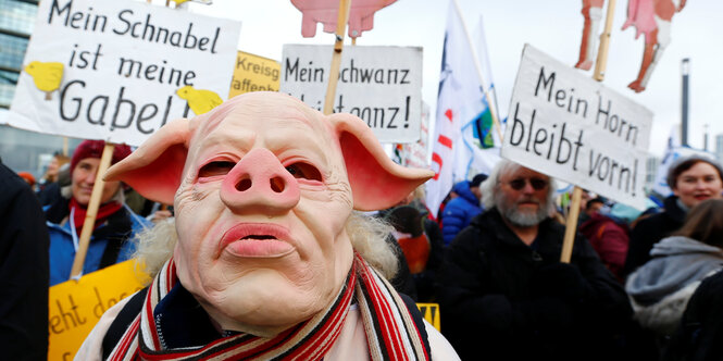 Demonstranten während Wir haben es satt - Demonstration im januar 2018 - Eine Person trägt eine Schweinemaske