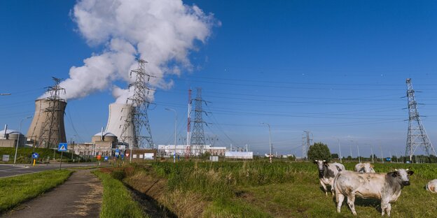 Kernkraftwerk Doel in Antwerpen