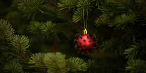 26444470.jpg Baumschmuck in Form eines Coronavirus haengt an einem Weihnachtsbaum