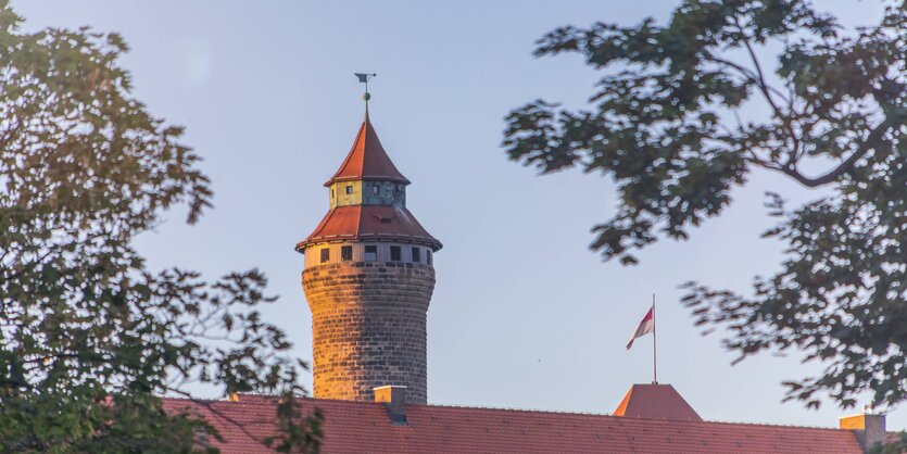 Turm einer Burg hinter Bäumen