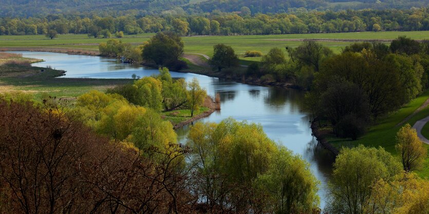 Nationalpark Unteres Odertal bei Stuetzkow