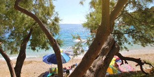 Pinien vor einem Mittelmeerstrand mit Urlaubern