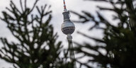 Zwischen den Zweigen zweier Tannen sieht man die Spitze des Fernsehturms in Berlin.