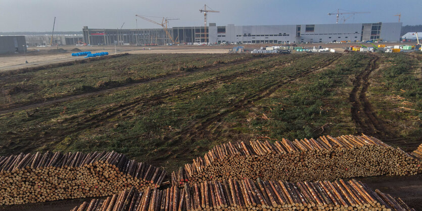 Brandenburg, Grünheide: Bereits abgeholzt ist eine weitere Fläche Kiefernwald auf der Baustelle der Tesla Gigafactory (Luftaufnahme mit einer Drohne). In der Fabrik sollen ab Juli 2021 maximal 500.000 Fahrzeuge pro Jahr vom Band rollen