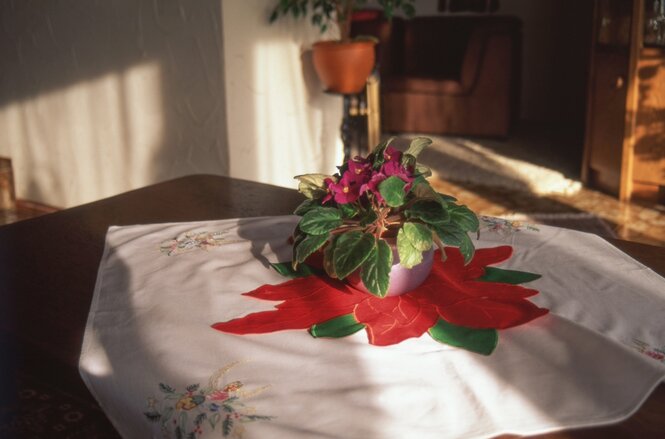 Eine Tischdecke mit weihnachtlicher Deko wird von der Sonne überflutet