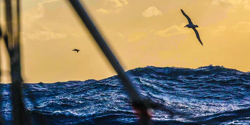 Wellenberge unter gelbem Himmel, durch den Möwen segeln