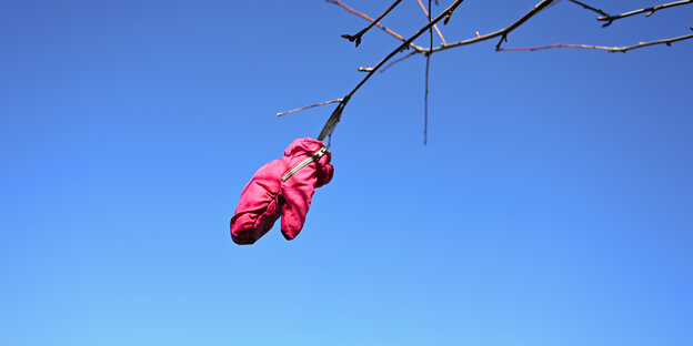 Ein Handschuh hängt vor blauem Himmel an einem Ast