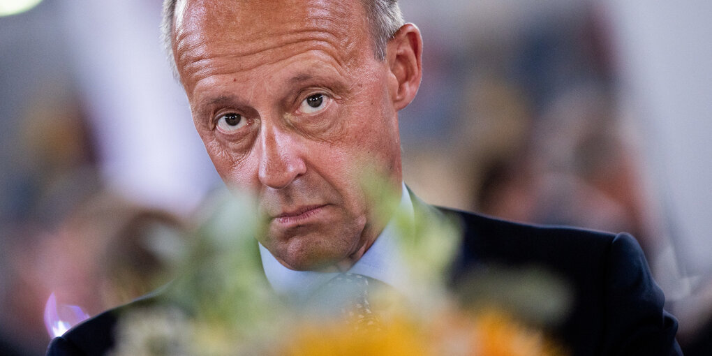 Friedrich Merz zieht die Augenbrauen hoch