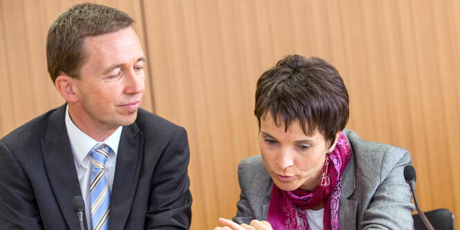 Bernd Lucke und Frauke Petry