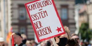 Schild: "Kapitalismus - System der Krisen"